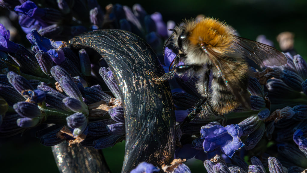 1 z 1 – Ručně vyráběný prsten z uhlíkového vlákna a se zlatým vzhledem Luxusní a pohodlný design
